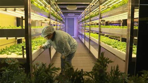 Taiwan is turning unused metro stations into vertical farms