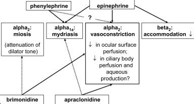 Brimonidine and apraclonidine as vasoconstrictors in adjustable ...