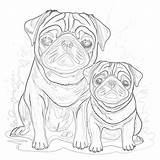 Coloring Pages Of Pugs  Mimi Panda sketch template
