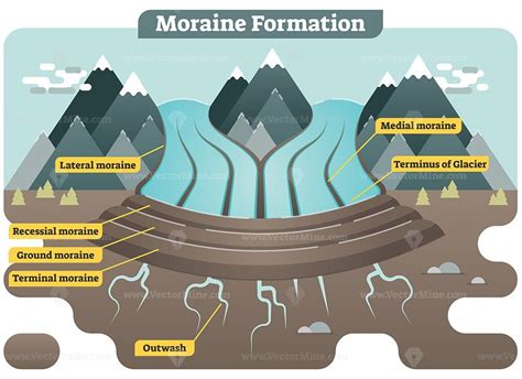 Description: Moraine formation illustrated vector diagram showing landscape with lateral ...