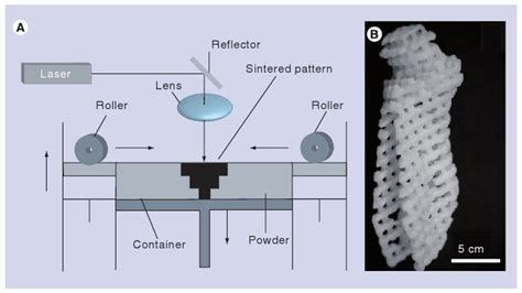 Selective laser sintering process (A) Schematic of selective laser... | Download Scientific Diagram