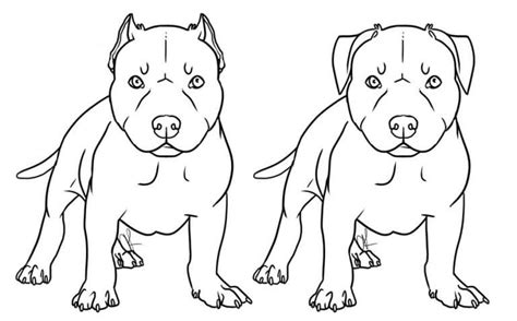 Pitbull Dogs Coloring Page - Free Printable Coloring Pages for Kids