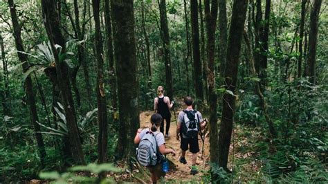 Your Ultimate Guide To Climbing Mt Kinabalu | Intrepid Travel Blog