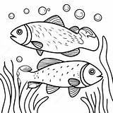 Colorful Trout Underwater Scene Coloring Page 48283 38686 sketch template