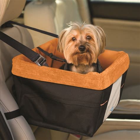 Best Dog Seat Belts and Car Harnesses – Reviews and A Guide To Dog Car Safety