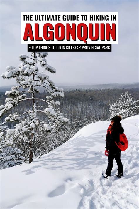 15 Algonquin Park Trails: Guide to the Best Hikes in Algonquin Park ...