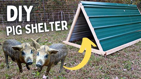 Build an EASY Pig Shelter - YouTube