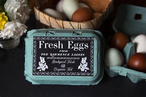 Custom Egg Carton Labels - Vintage Chicken Drawing Half Dozen