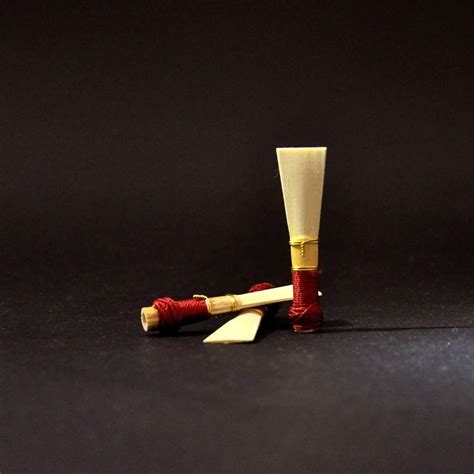 Bassoon Reed