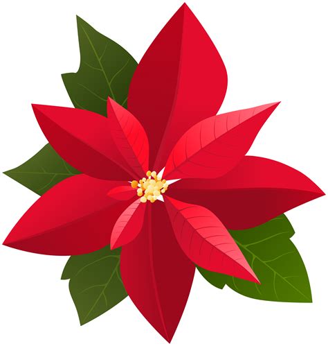 Poinsettia clipart, Poinsettia Transparent FREE for download on WebStockReview 2024