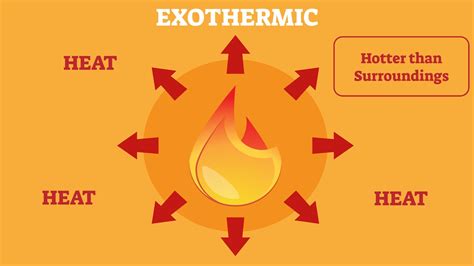 Exothermic Chemical Reaction Examples