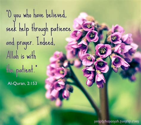 Patience - Inspirational Islamic Quotes