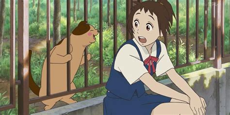 The Cat Returns é um dos filmes mais subestimados do Studio Ghibli - Olá Nerd