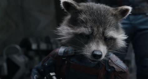 The Guardians of the Galaxy Trilogy Ends With Rocket Raccoon at Its Heart