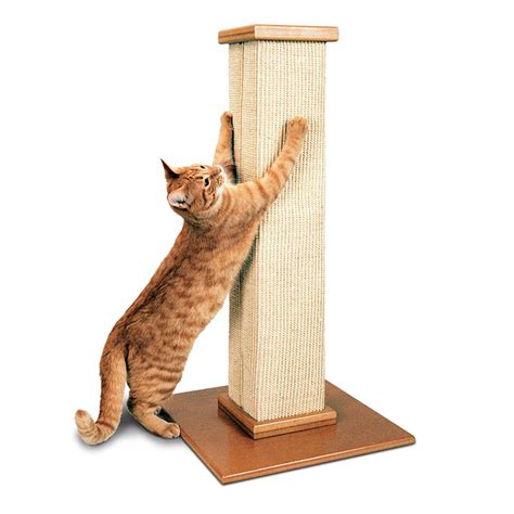 SmartCat Ultimate Scratching Post | Petco