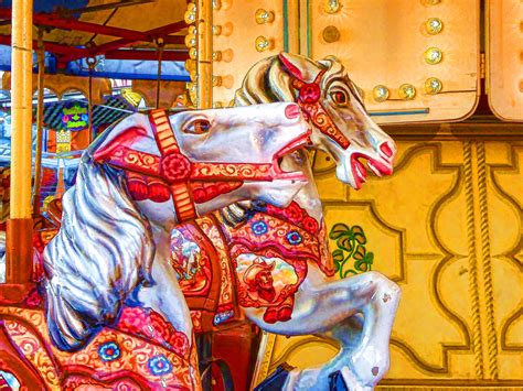 Merry-Go-Round Horses Free Stock Photo - Public Domain Pictures