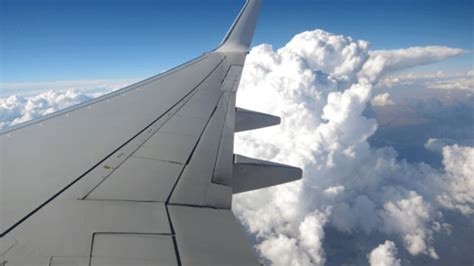 The Science Behind Why Airplane Wings Wobble in Turbulence | Mental Floss