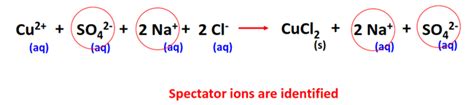 Net ionic equation Calculator - All steps + Examples