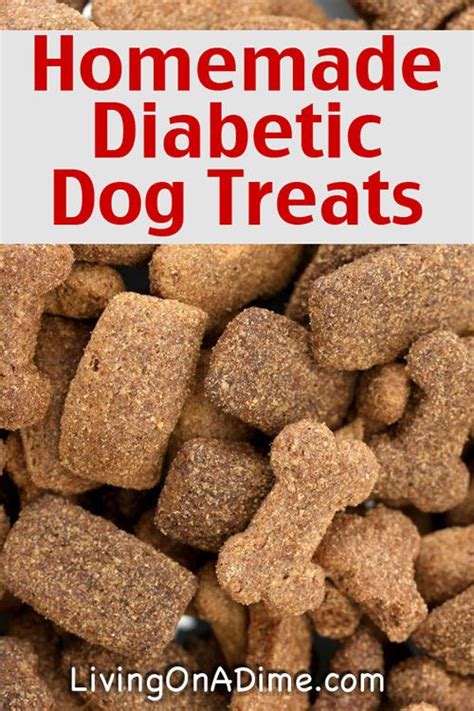 Homemade Diabetic Dog Treats Recipe - Just 3 Ingredients you already ...