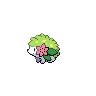 Shaymin sprites gallery | Pokémon Database