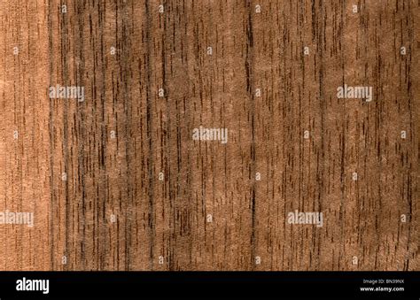 Black walnut wood grain, Juglans nigra, North America Stock Photo - Alamy