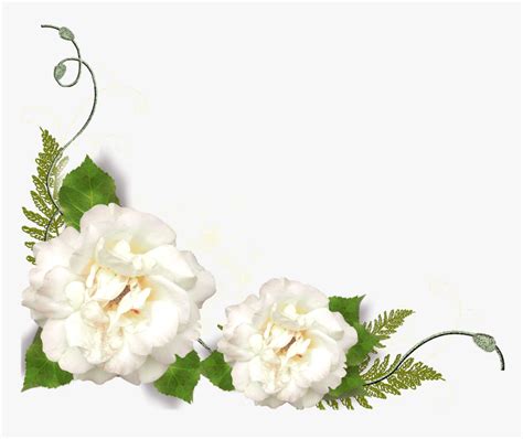 Flores Blancas Png - White Rose Border Png, Transparent Png - kindpng