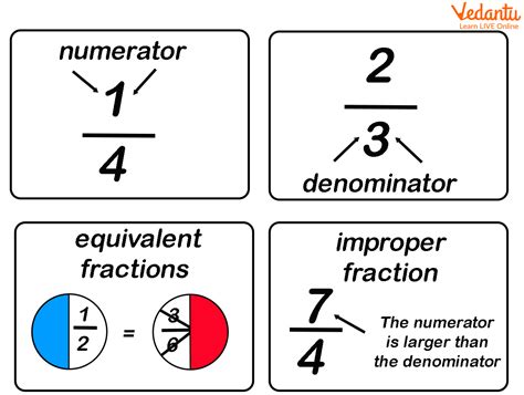 Fraction Vocabulary Definition And Examples – Modafinil24