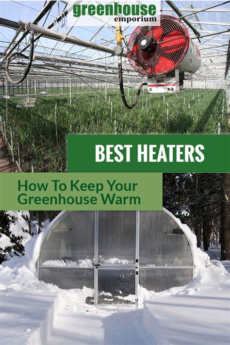 Best Greenhouse Heaters for the Cold Season | Greenhouse Emporium