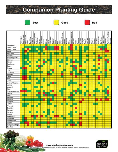 Seeding Square Companion Guide.pdf | DocDroid