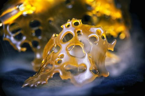 Cannabis Extraction Process in 3 Popular Ways - Extraction Magazine