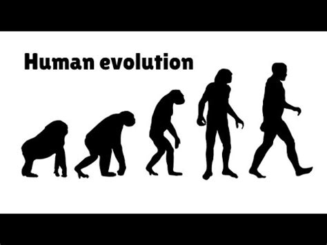 Timeline of Human Evolution - YouTube
