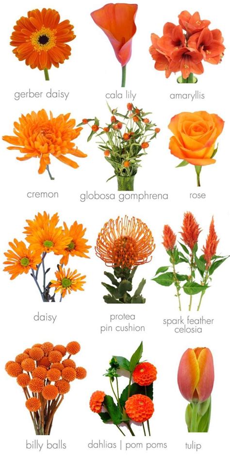 Orange Wedding Inspirations Its an Orange Crush | Casamentos alaranjados queimados, Flores para ...