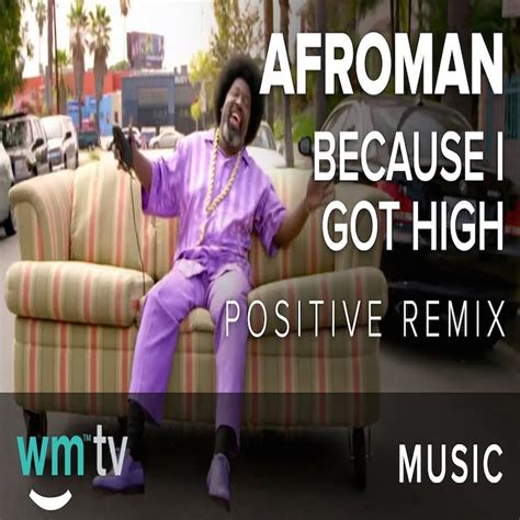 Afroman - Because I Got High (Positive Remix) - Reviews - Album of The Year