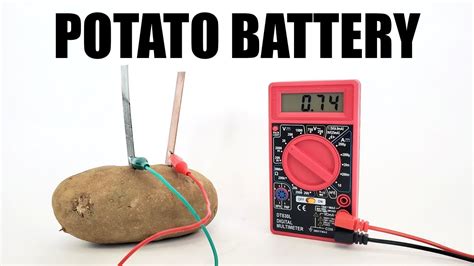 Potato Battery Experiment For Kids | Kids Matttroy