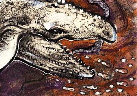 :Aceo: Leviathan Melvillei by CharlesDW on DeviantArt