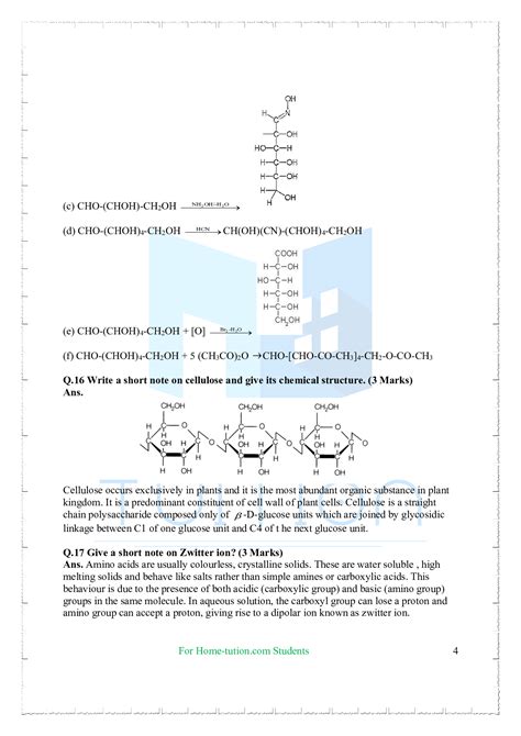 Important Questions For Class 12 Chemistry Chapter 14 Biomolecules