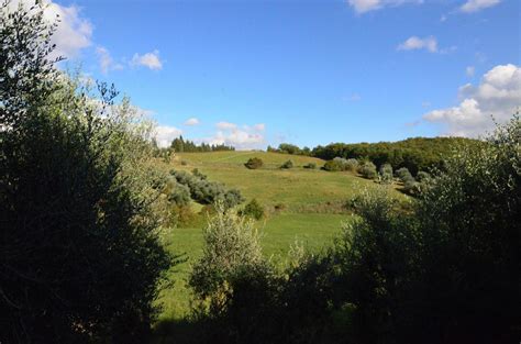 Vineyards in Tuscany Italy 9093083 Stock Photo at Vecteezy