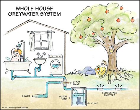 Greywater Harvesting | Grey water system, Rain water collection, Water conservation