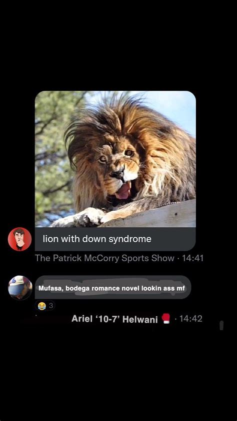 Lion With Down syndrome ? : r/thefighterandthekid