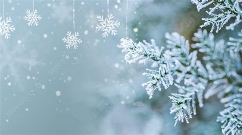 Frosty Snowflakes Dark Blue Simple Branches Powerpoint Background For Free Download - Slidesdocs