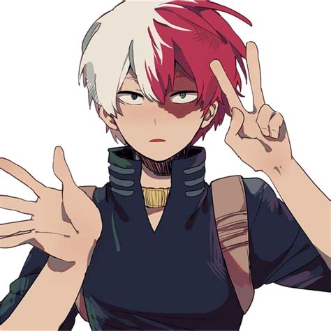 Download Todoroki Shoto Shouto Todorokishouto Todorokishoto - My Boku No Hero Academia Todoroki ...