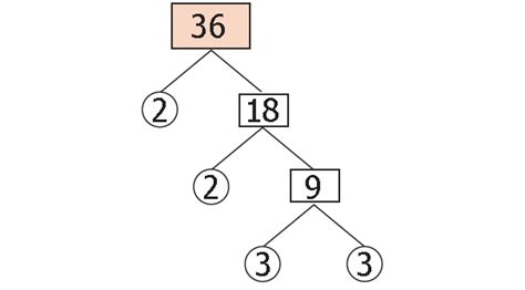 Factor Tree Method