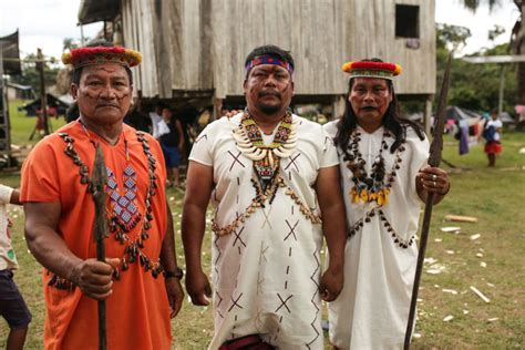 Delitos ambientales durante la pandemia, pueblos indígenas acorralados ...