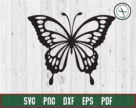 Pin on Butterflies svg