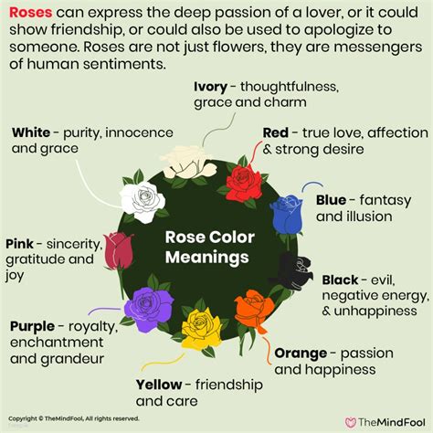 azirskin: Flowers That Symbolize Unrequited Love : Rose Color Meanings ...