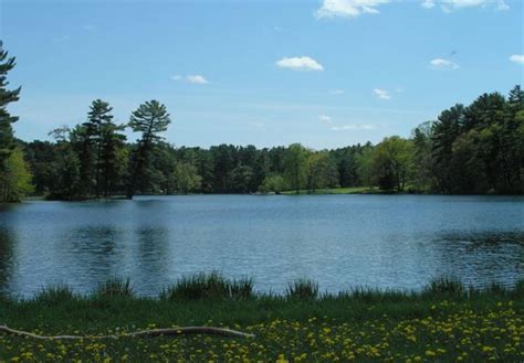 Clear Lake Park/Bay Area Museum | Things To Do in Seabrook, TX