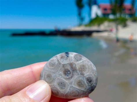 12 Lake Michigan Facts For Kids That May Surprise You