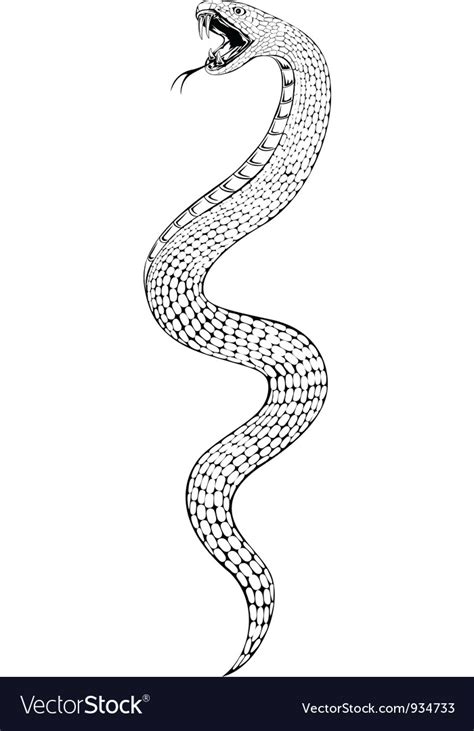 Snake Royalty Free Vector Image - VectorStock