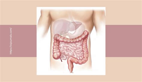 Enteritis: Causes, Types And Symptoms