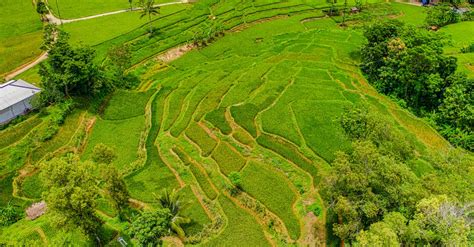 Aerial View of Landscape · Free Stock Photo